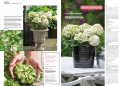 BLOOM's World № 09