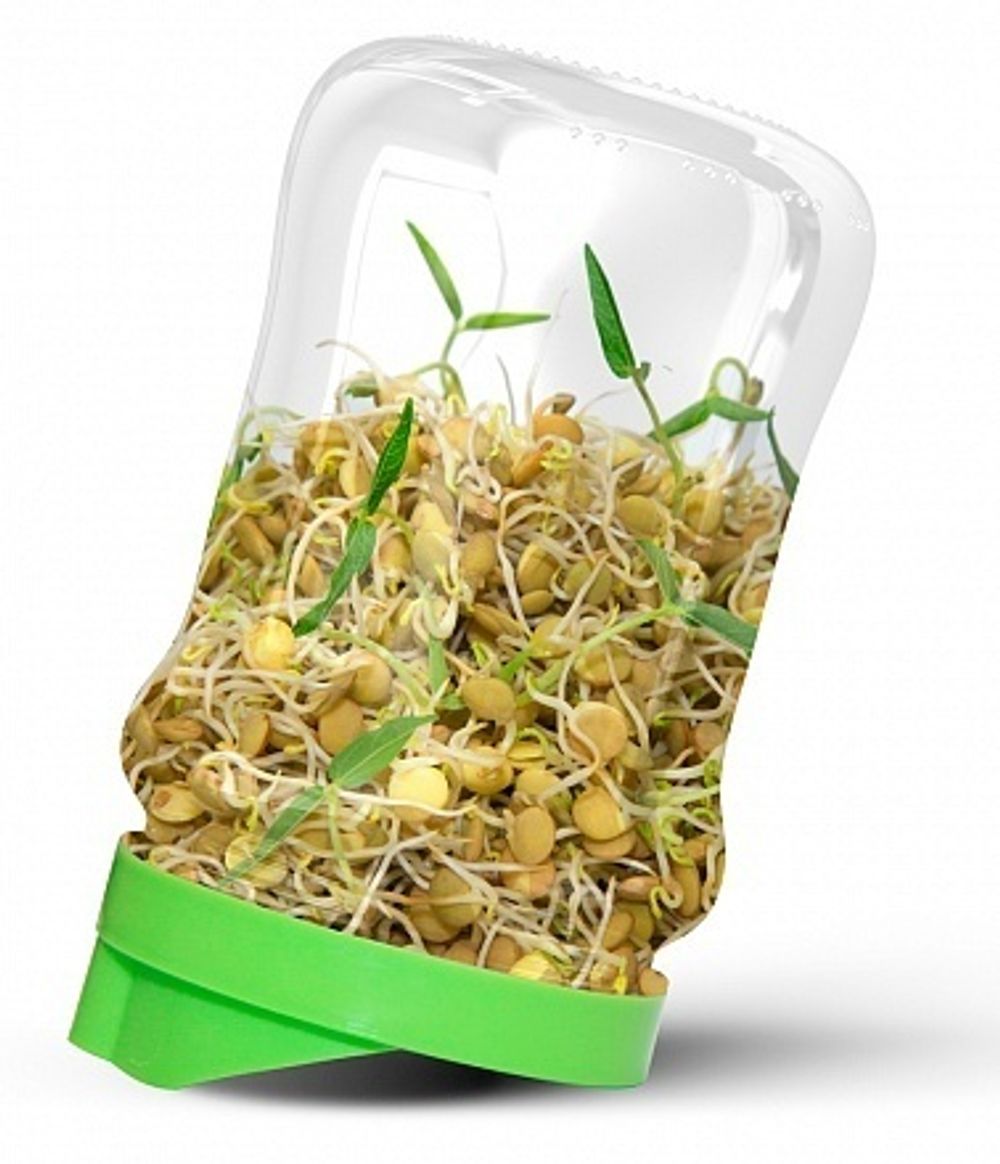 Проращиватель