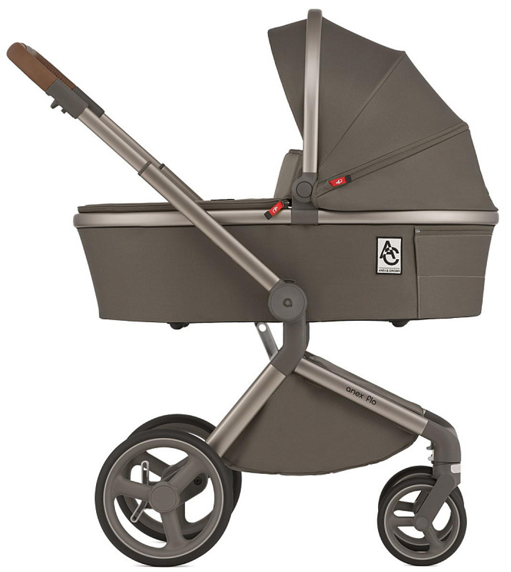 Детская коляска Anex Flo 2 в 1 Cesar