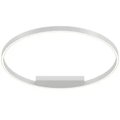 Потолочный светильник Maytoni MOD058CL-L50W4K