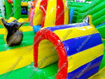 Коммерческий надувной батут "Джунгли с двумя входами" 10*7*4