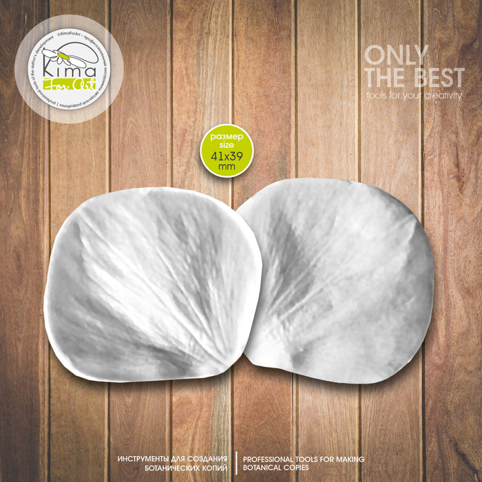 Морозник лепесток большой круглый