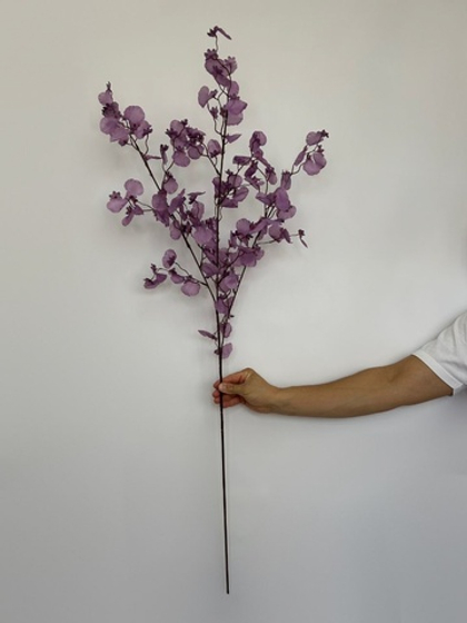 Абрикос цветущий (сакура) / Арт 1177