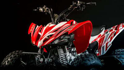 Квадроцикл MOTOLAND 250S