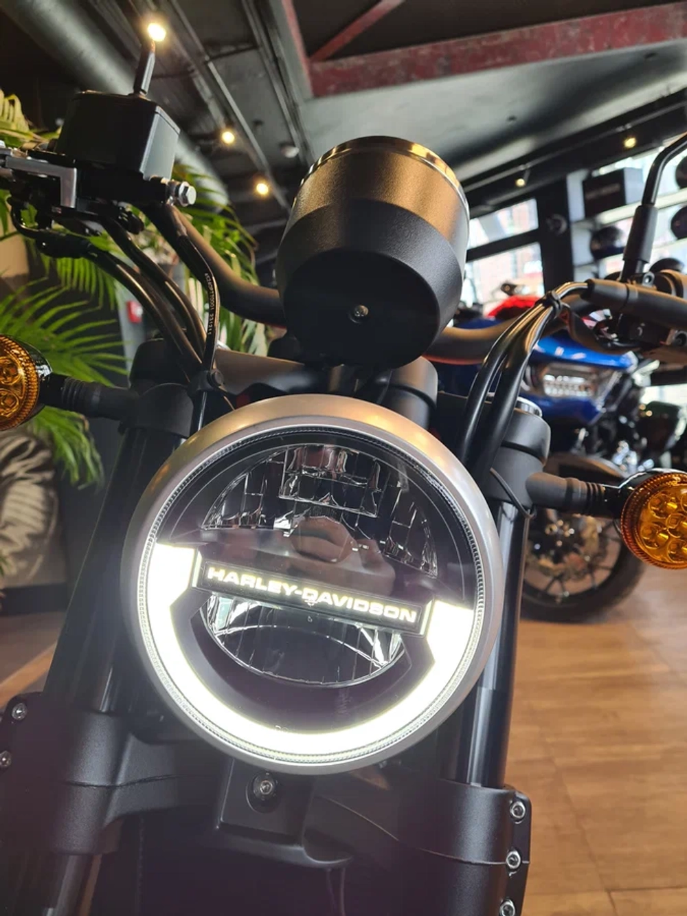 Harley-Davidson X500, 2024
