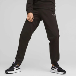 Брюки спортивные женские PUMA BETTER ESSENTIALS Pants cl FL