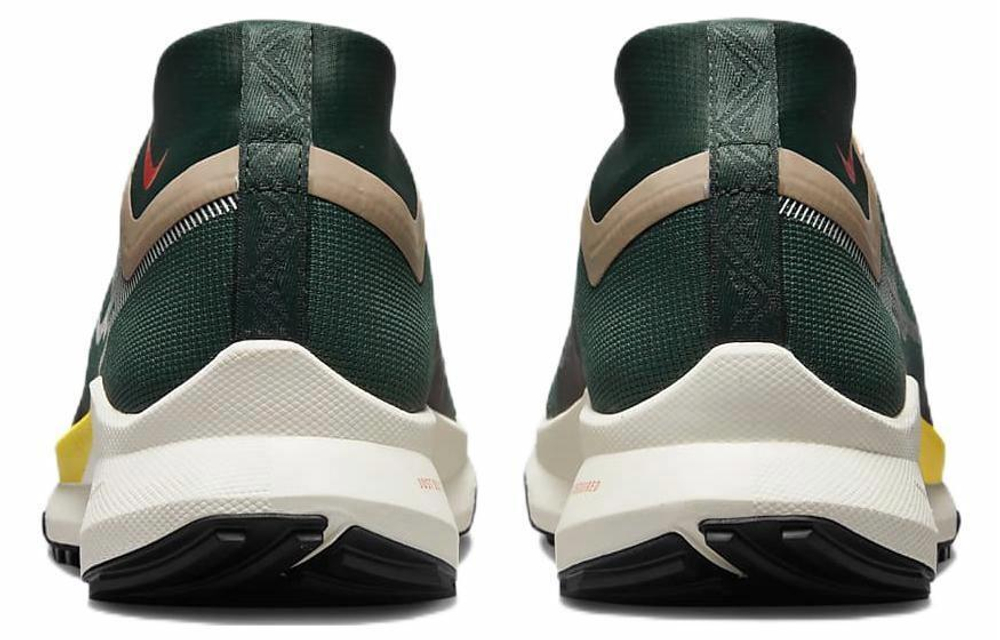 Кроссовки Nike Pegasus Trail 4 Gore-Tex