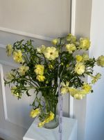 Ранункулюс садовый