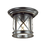 4045/1C NATURE ODL18 701 черный/зол.патина Уличный потолочный светильник IP44 E27 60W 220V SATION