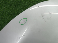 Капот Xpeng P5 (2021-н.в.)
