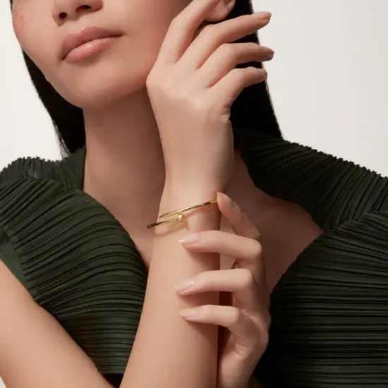 Браслет Cartier Juste un Clou bracelet, small model