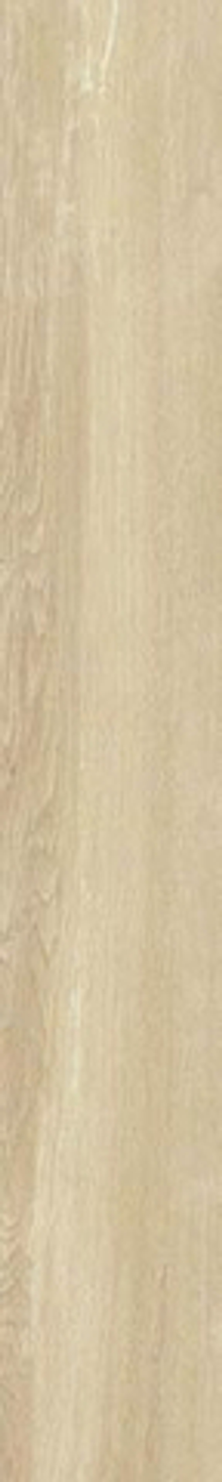 Керамогранит FOREST HAYA