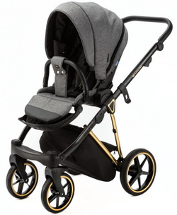 Детская коляска Adamex Belissa Special Edition 2 в 1 B-PS562 (Т.СЕР ЗОЛОТ.РАМ)