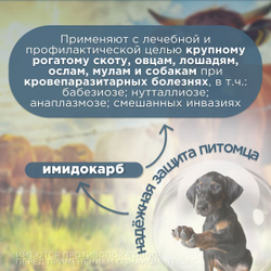 Раствор для инъекций для лечения и профилактики кровепаразитарных болезней у животных Пиро Стоп(Apicenna), 100мл Имидокарб