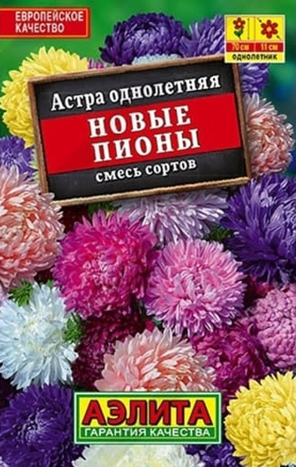Астра Новые пионы см