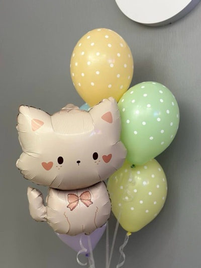 Набор шаров с котиком