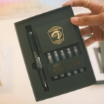 Перьевая ручка Platinum Limited Harry Potter Slytherin зеленая (PLAT003HP)