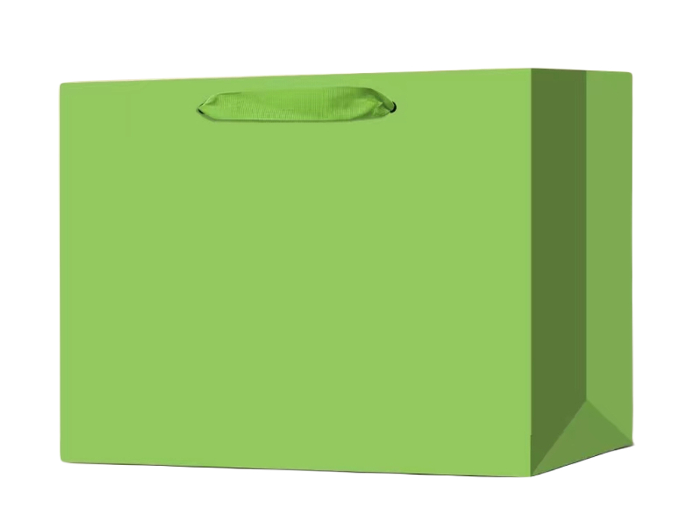 150018 Пакет подарочный с ручками, h=25см, l=29см, картон зеленый