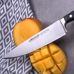 Набор ножей 3шт в подставке Arcos Opera