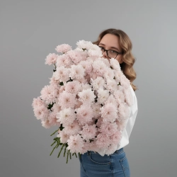 Розовая кустовая хризантема несколько веток в монобукете.