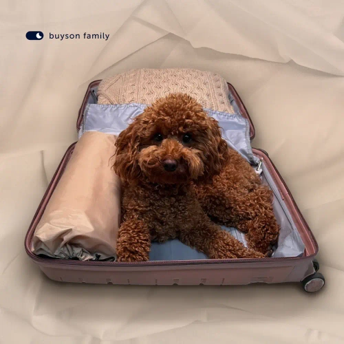 Пенная подушка для путешествий BuyTour (в дорожном чехле)