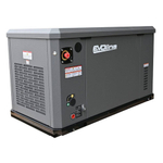 Генератор газовый EVOline GNG 13500 E (адаптированный)