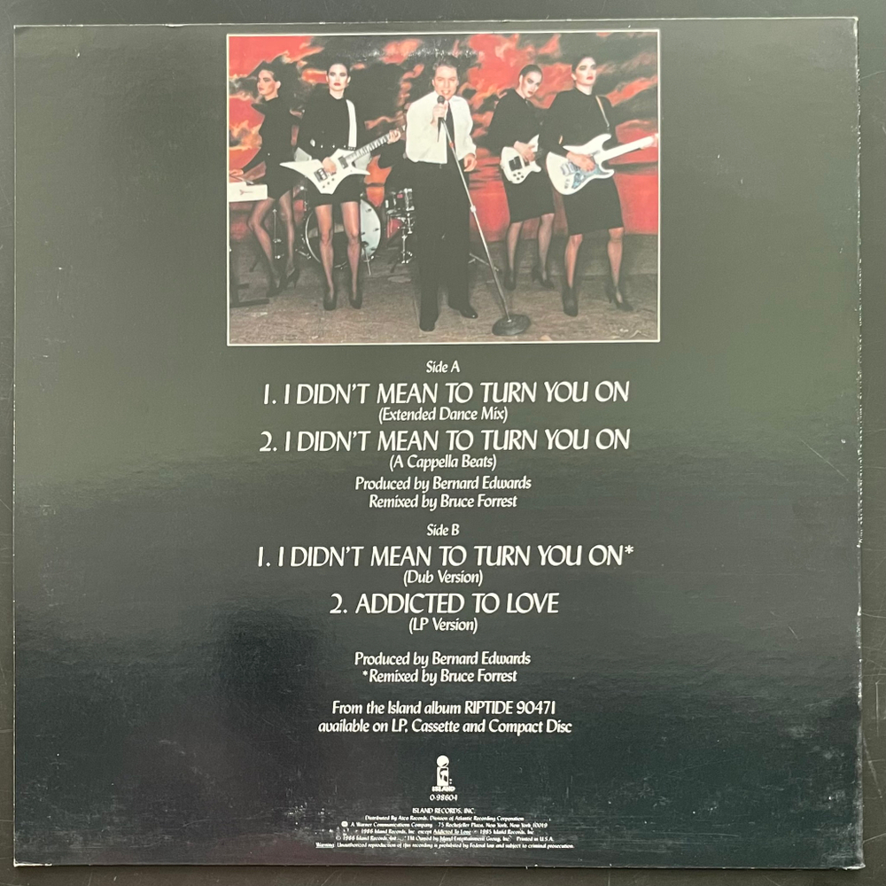 Robert Palmer ‎– I Didn't Mean To Turn You On (США 1986г.) EP