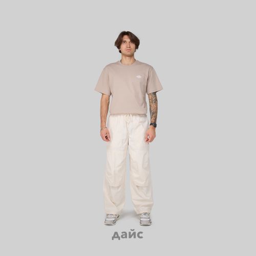 Брюки мужские Dickies Fishersville Pant артикул:DK0A4YSDF901 - купить в магазине Дайс