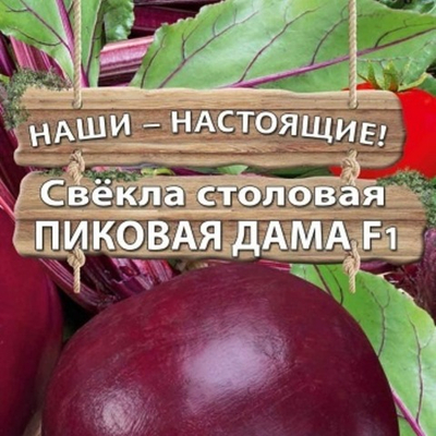 Свёкла столовая Пиковая дама F1