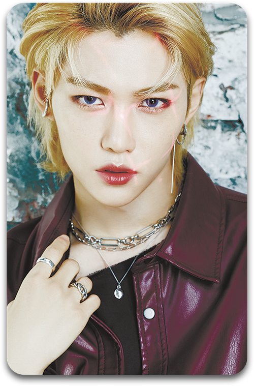 Карта / STRAY KIDS #2995