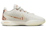 Кроссовки Nike Lebron 21 Ep "Akoya" 21 Lbj21