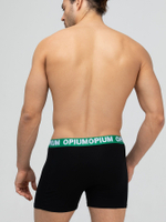 Хлопковые трусы-боксеры с двойным гульфиком (Размер: L) (Цвет: черный)