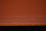 STIGA DNA DRAGON GRIP