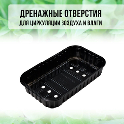 Лоток для выращивания свежей микрозелени / 18*11*5,5 см / 100 шт.
