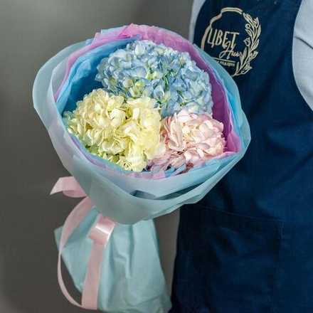 Букет гортензий