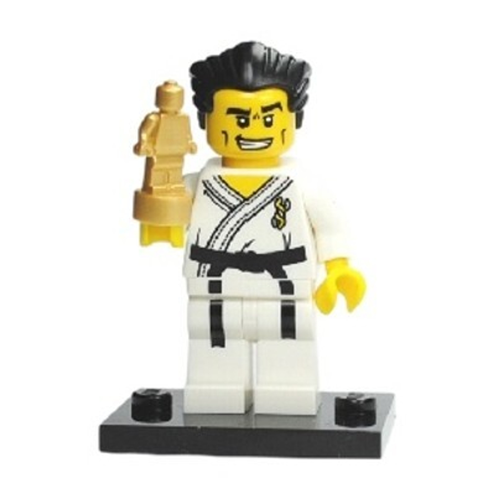 Мастер каратэ 8684 col02-14