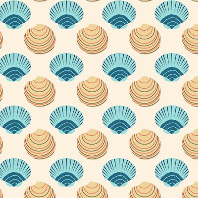 Морские ракушки