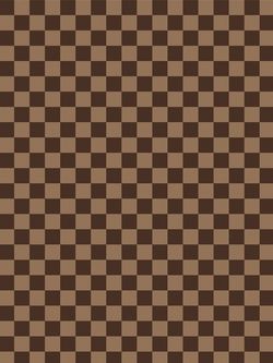 Постельное белье Сказка "Roger" евро Наволочка 50х70 см 2 шт Простынь 240х215 см Пододеяльник 200х215 см, поплин