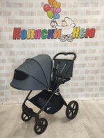 Коляска модульная Rant Teo Graphite