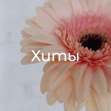 Хиты продаж