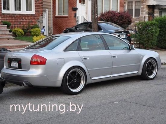 Листва (молдинги) на двери RS для Audi A6 S6 C5