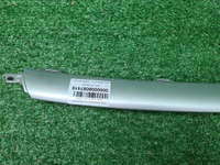 Молдинг решетки радиатора Geely Coolray (19-24)