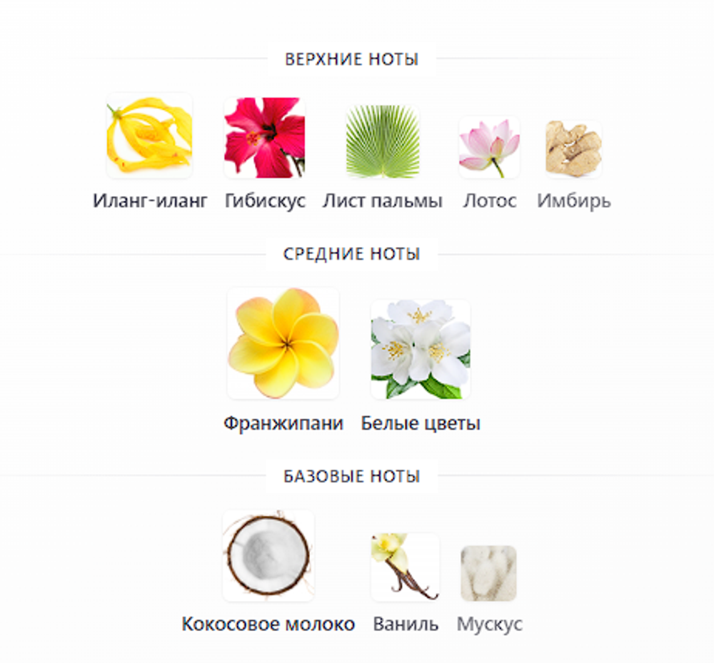 Hibiscus Palm Aerin 100ml (duty free парфюмерия)