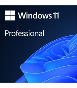 Программное обеспечение Microsoft Windows 11 [FQC-10529] Professional English 64-bit (1pk DSP OEI DVD)