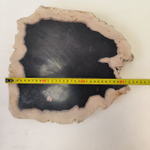 Набор из окаменелого дерева 4 предм Fossil Set NF-63285 поднос 149
