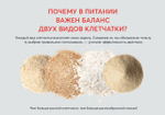 Скриншот 02.09.25_09.43.06