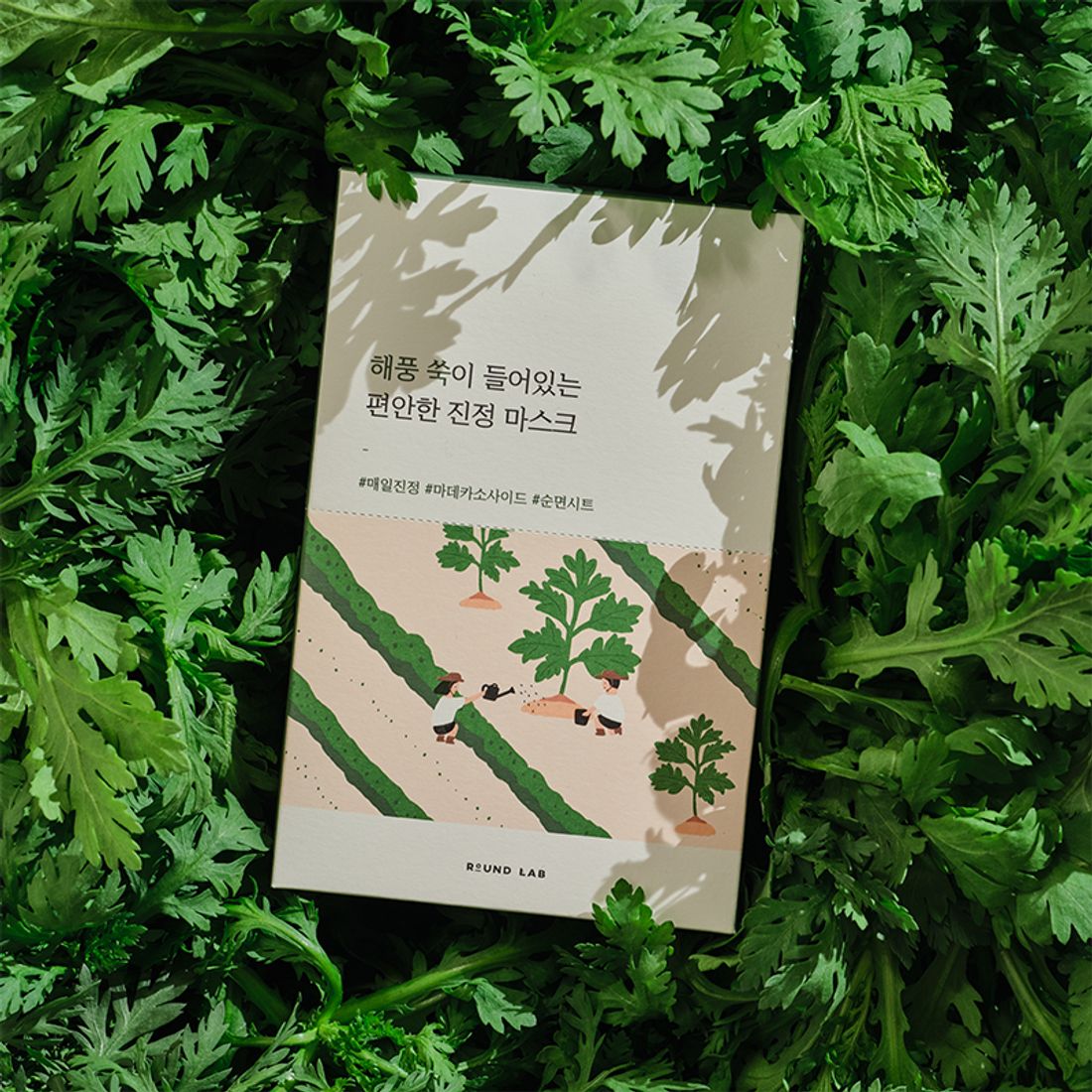 Успокаивающая тканевая маска с полынью Round Lab Mugwort Calming Sheet Mask 25 мл