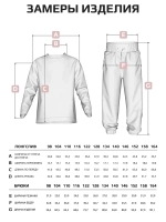 Костюм трикотажный спортивный для детей, лонгслив и брюки