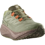 Кроссовки для бега Salomon AERO BLAZE 3 GRVL GORE-TEX Tea / Iron / Burnt Ochre