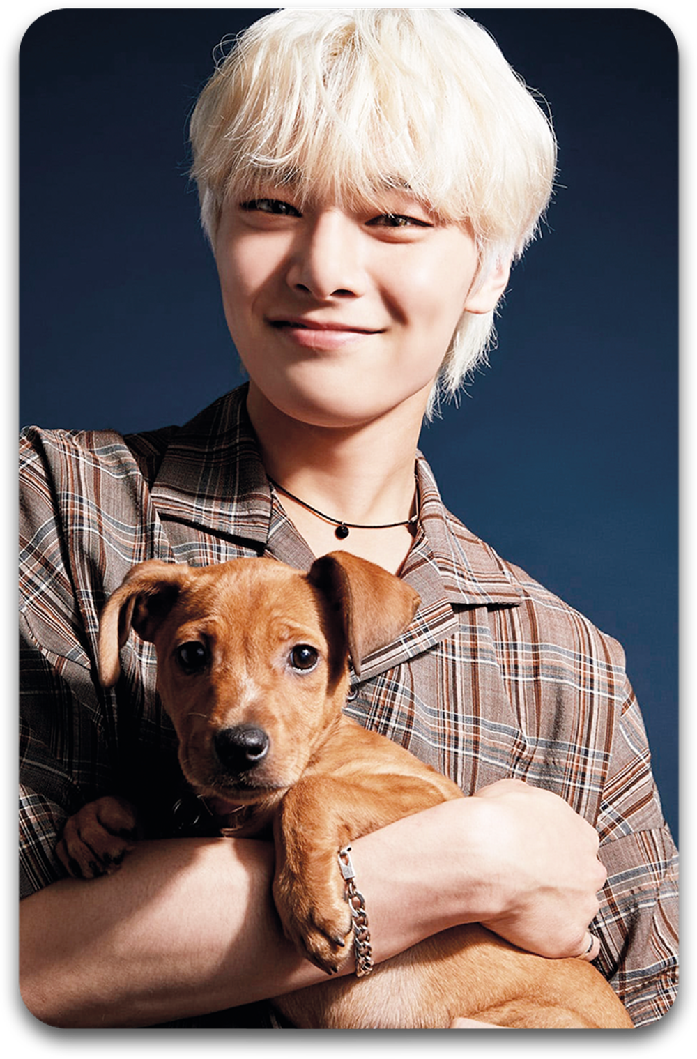 Карта / STRAY KIDS #3207